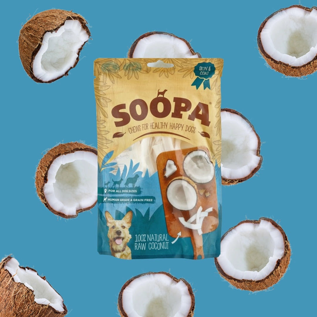 Natural Chewable Treats – Coconut