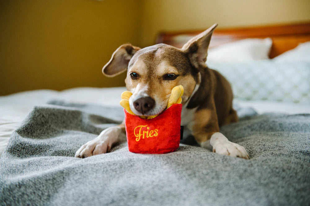 Jouet Frites