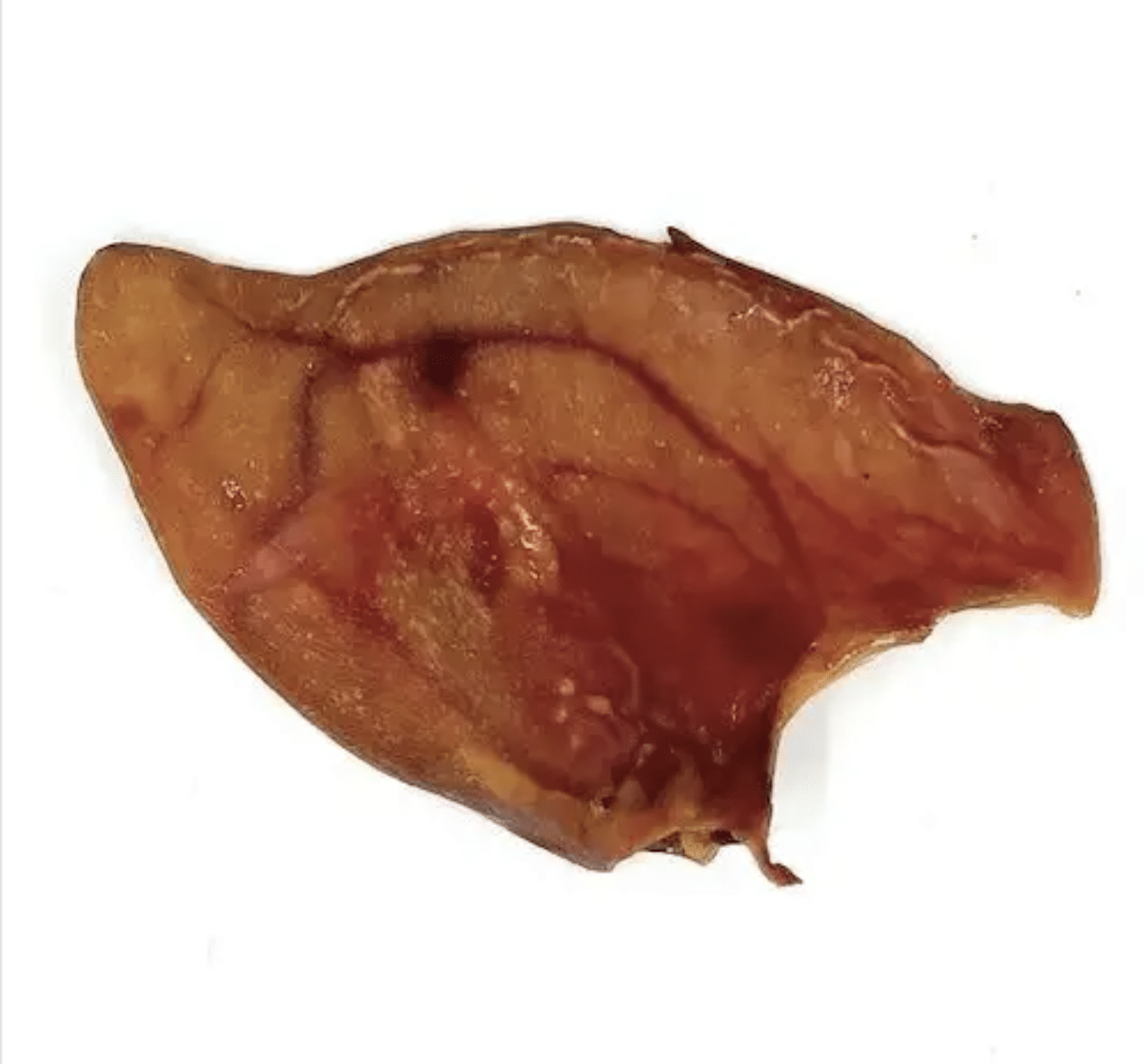 Pig Ear XL x3