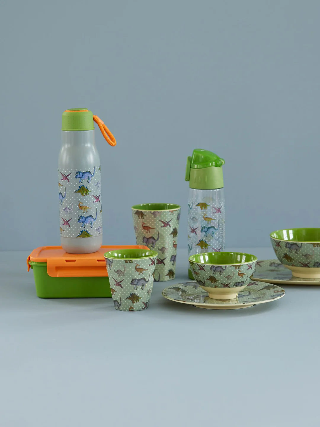 Inox Bouteille - Bleu gris - New Dino Print