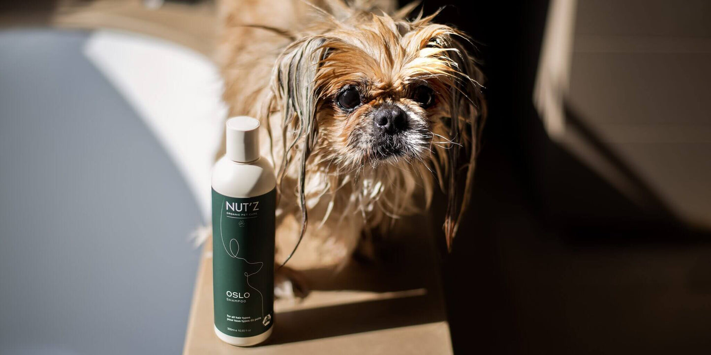 Universal shampoo for all hair types OSLO