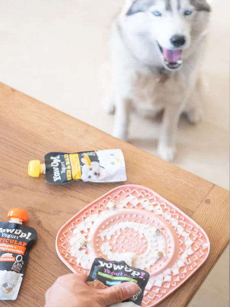 Skin and Coat Yogurt with Salmon for Dogs