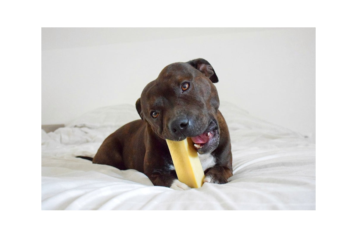 Filou vrac - fromage à mâcher pour chien