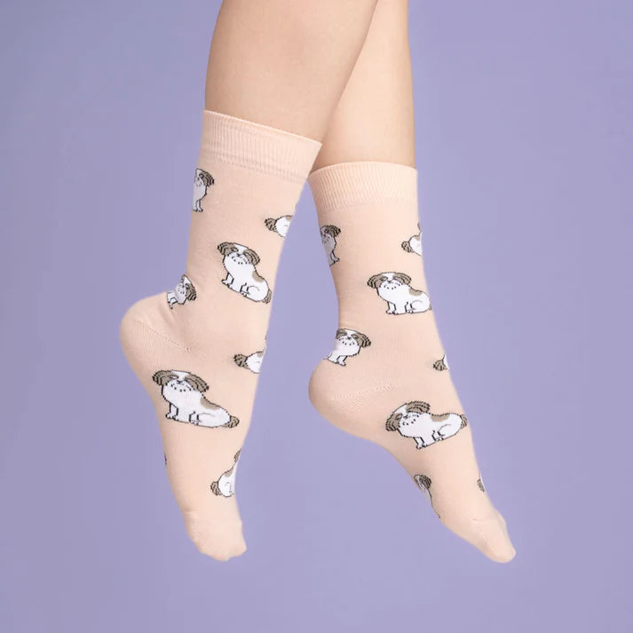 Chaussettes Shih tzu