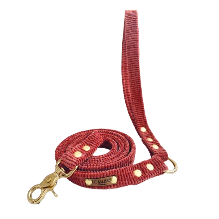Red velvet leash
