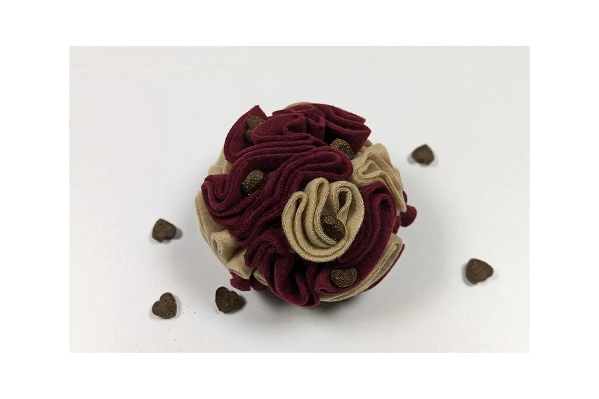 DIY Balle de fouille et Friandises