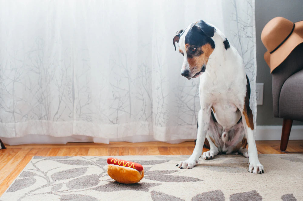 Jouet Hot Dog