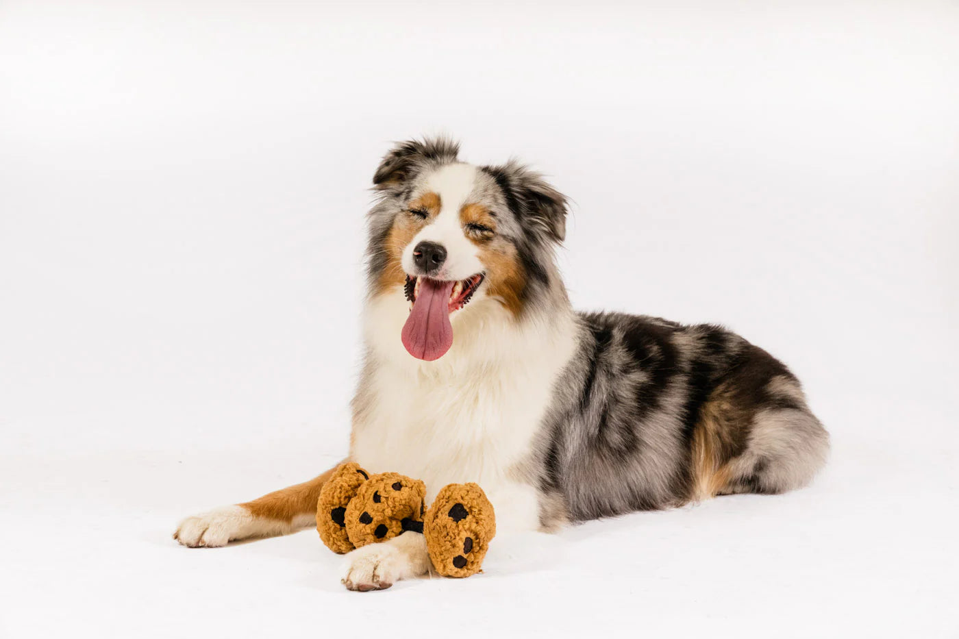 Jouet Cookie