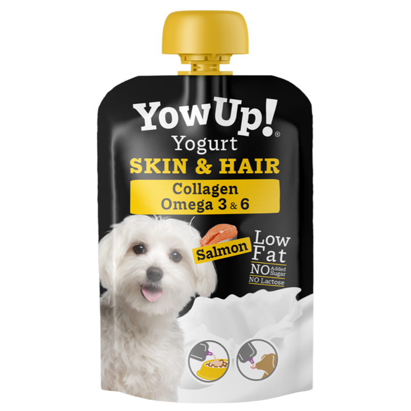 Skin and Coat Yogurt with Salmon for Dogs
