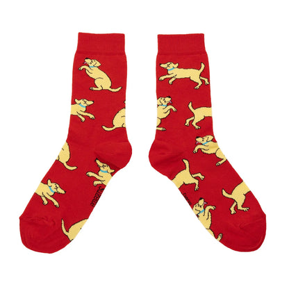 Golden Retriever Socks