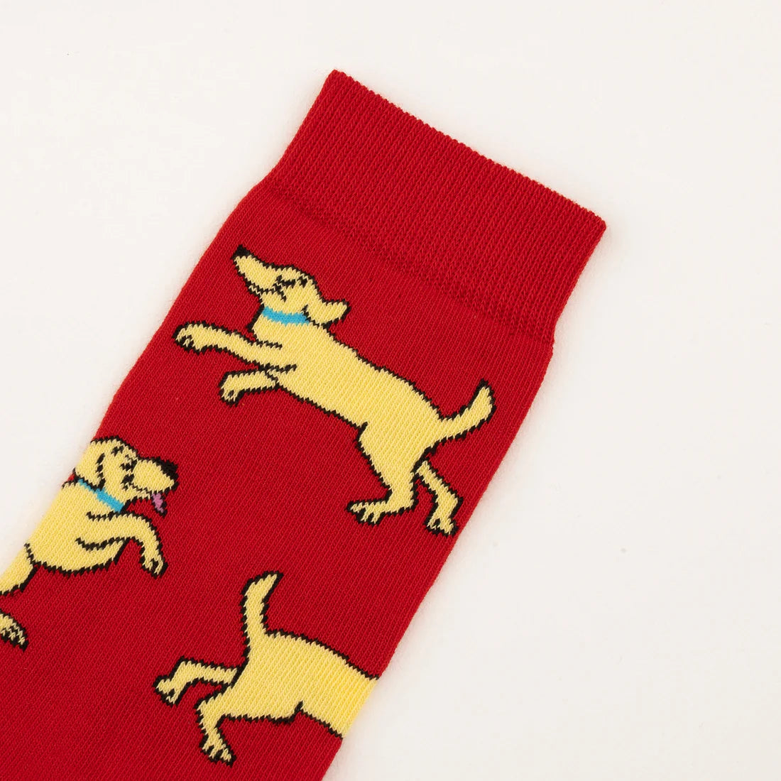 Golden Retriever Socks