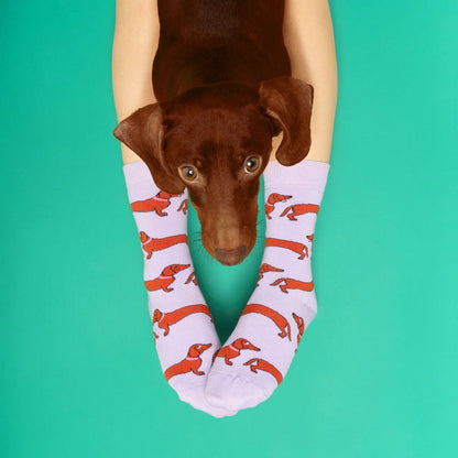 Dachshund Socks