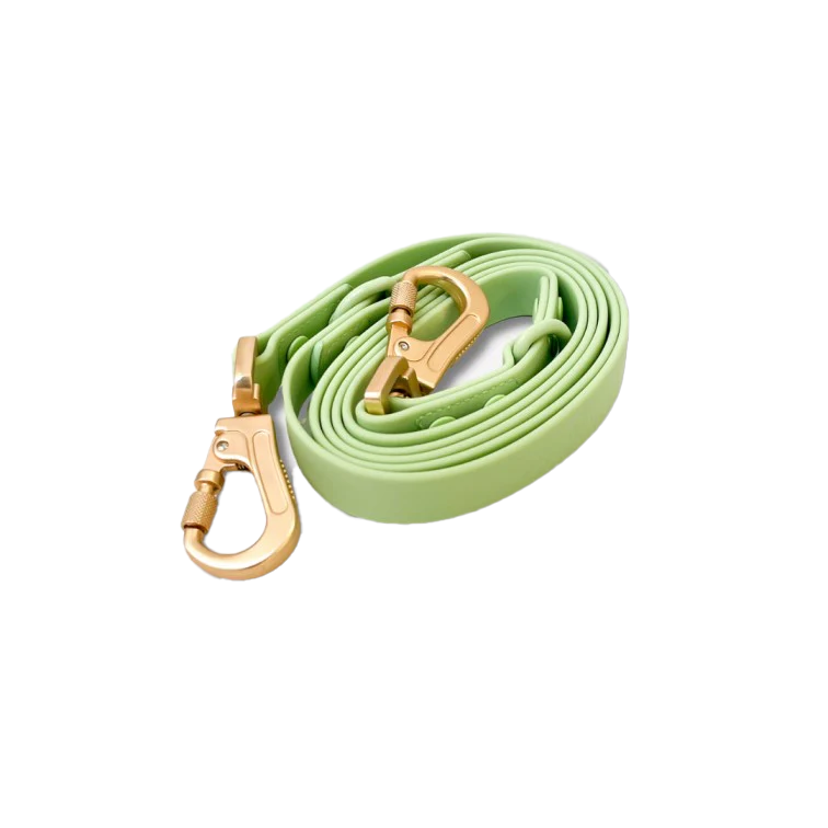Pastel green multi-position leash