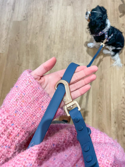 Laisse multiposition Bleu pastel