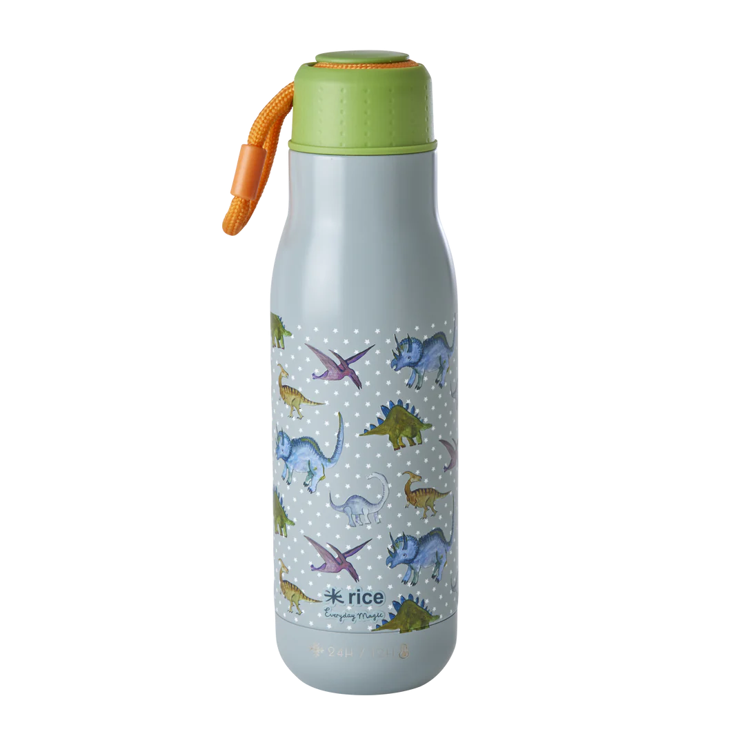 Inox Bouteille - Bleu gris - New Dino Print