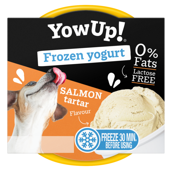 Yaourt Glacé pour Chien – Tartare de Saumon