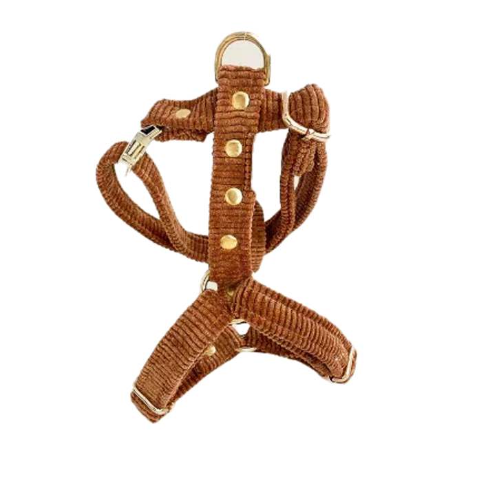 Brown velvet harness 