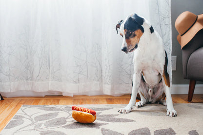 Jouet Hot Dog